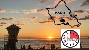 a group of people flying kites on a beach