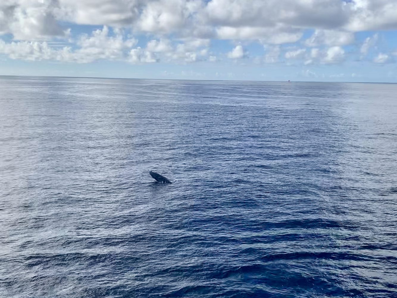 a large body of water