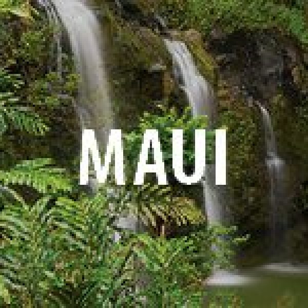 a waterfall in a forest