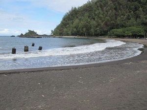 a group of people walking on a beach near a body of water