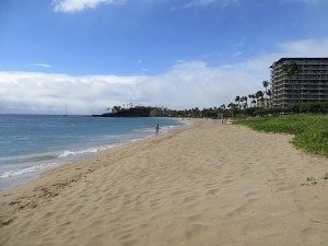 a sandy beach next to the ocean