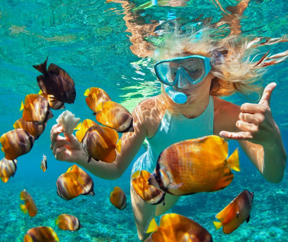 a group of people swimming in a pool of water