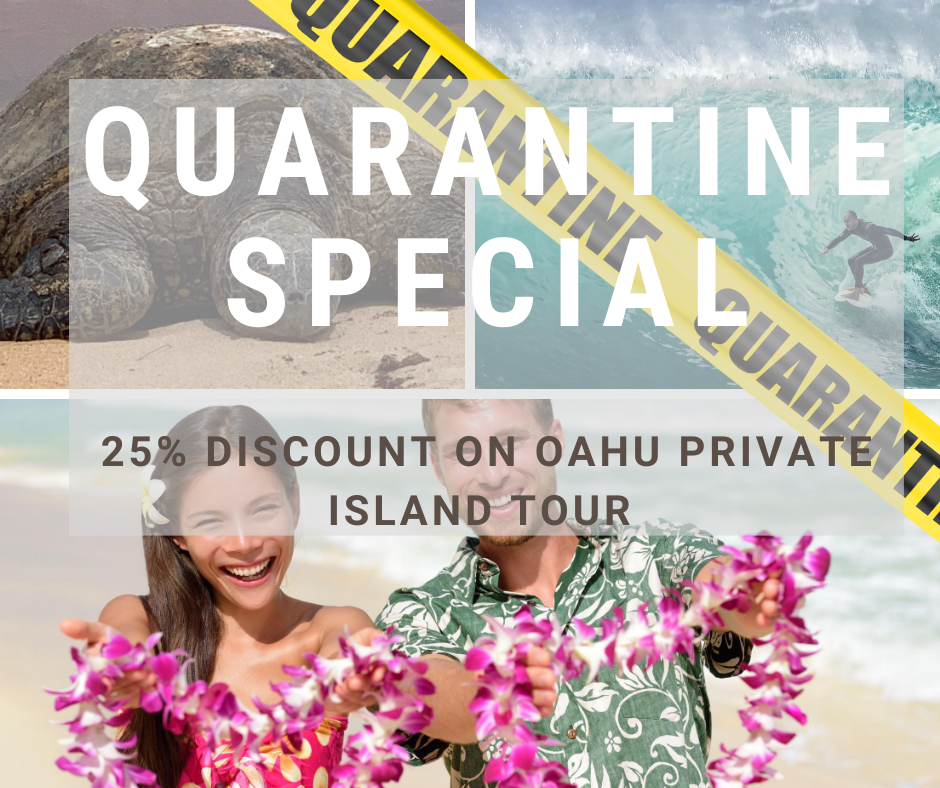 Oahu-North-Shore-Tour-25-quarantine-special graphical user interface