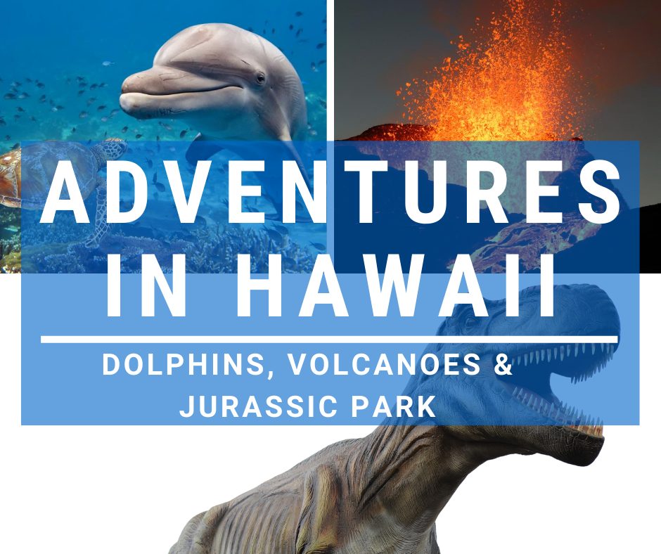 dolphins-jurassic-park-volcano dolphins-jurassic-park-volcano