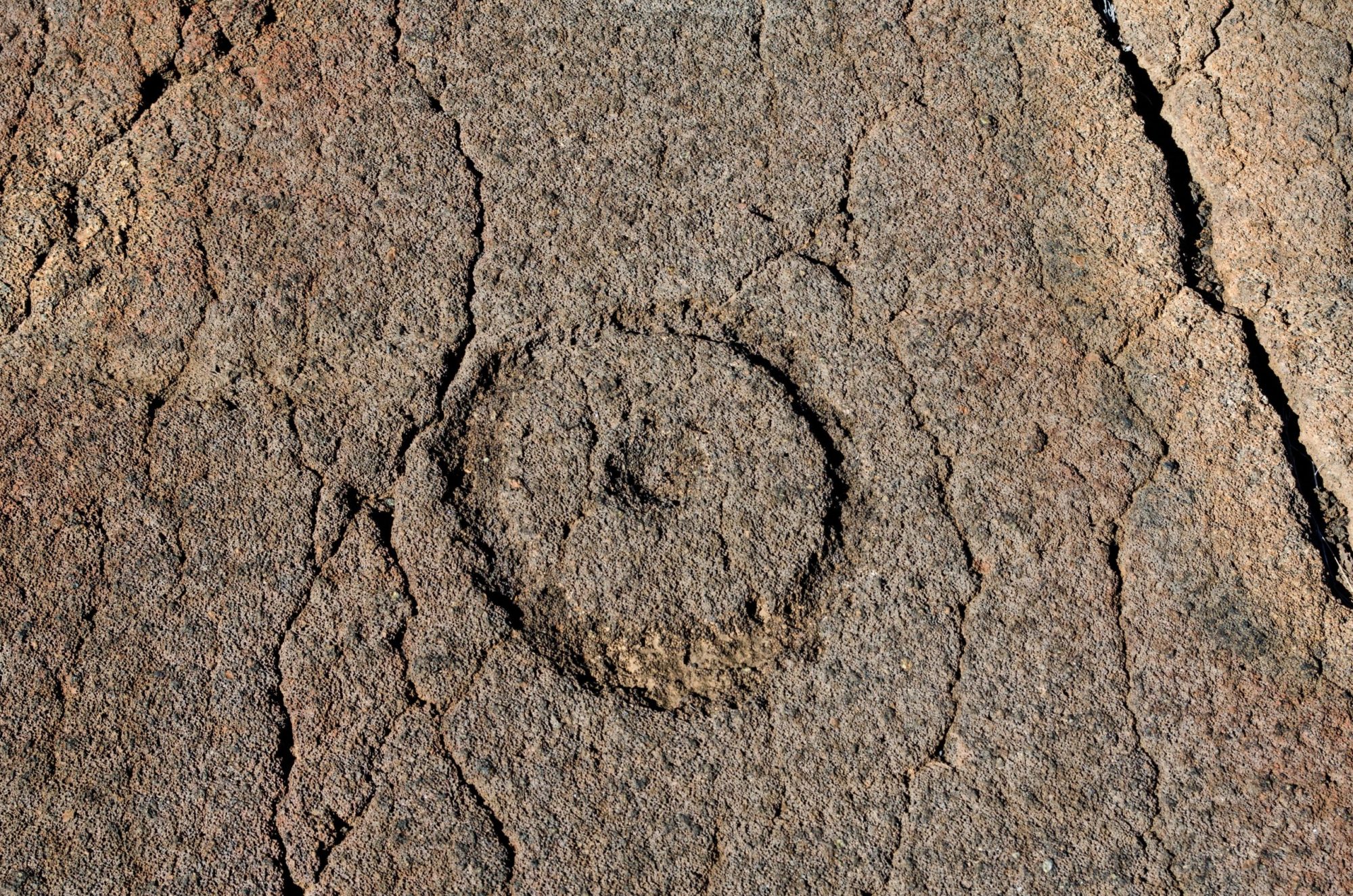 Circle petroglyph on the Big Island a close up of a rock