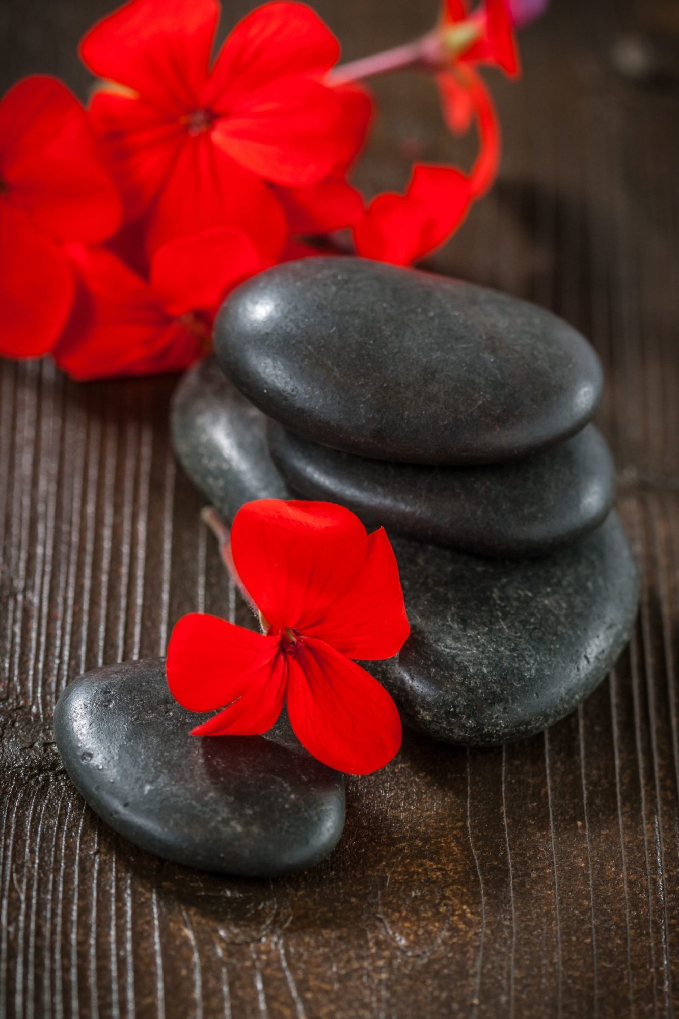 Spa stones Spa stones