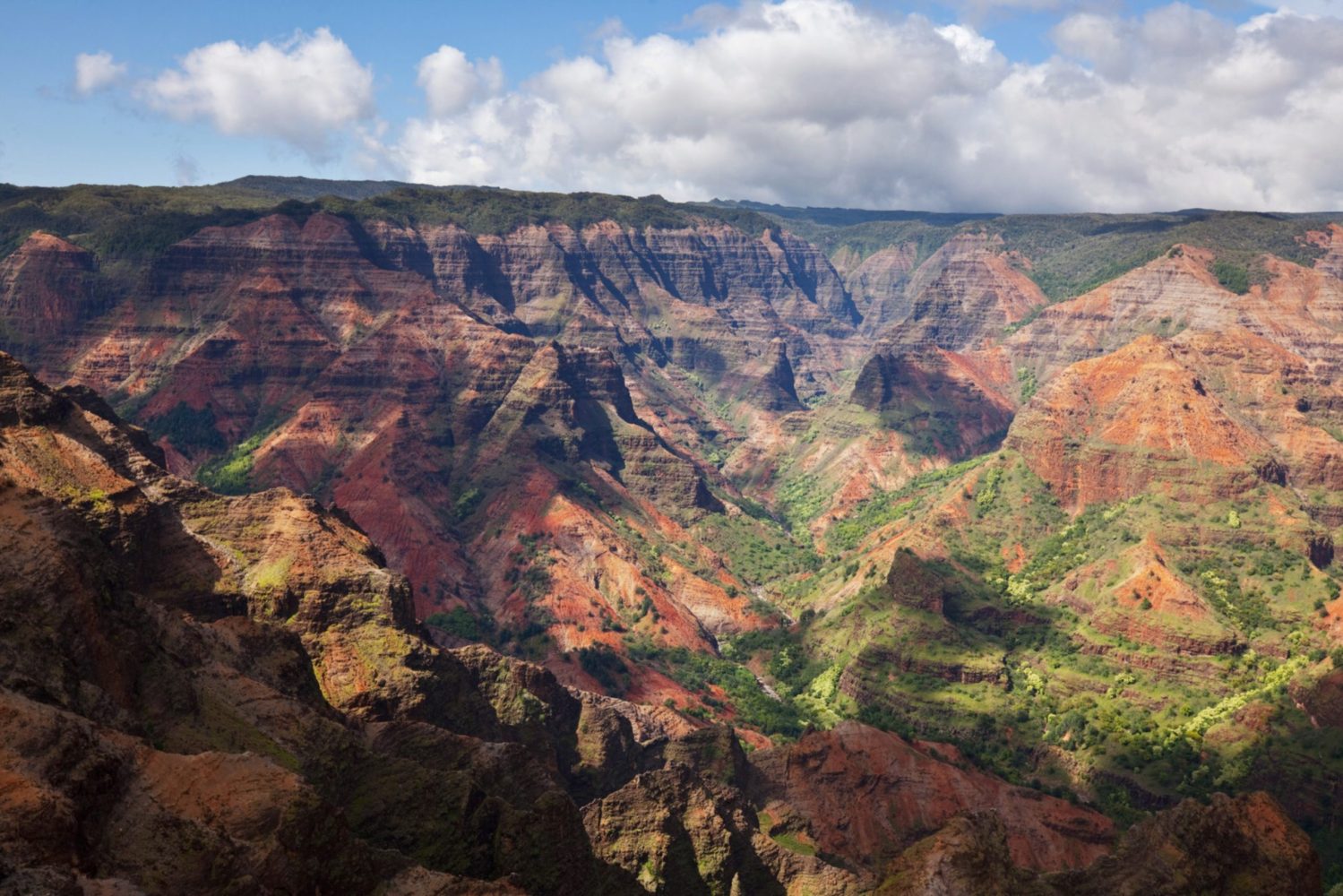 a canyon with Waimea Canyon State Park in the background