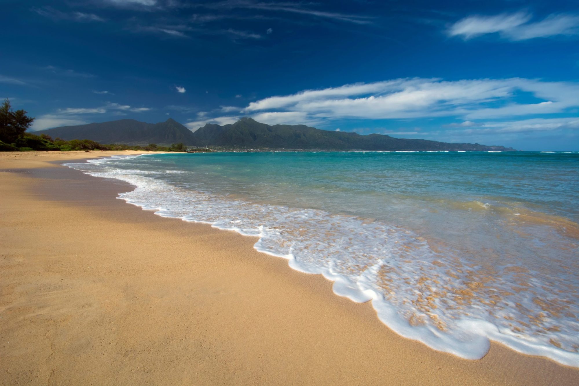 Kanaha Beach Park a sandy beach next to a body of water