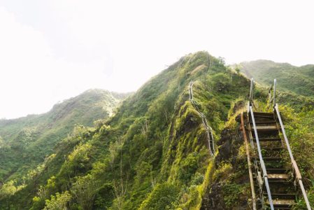 a close up of a lush green hillside