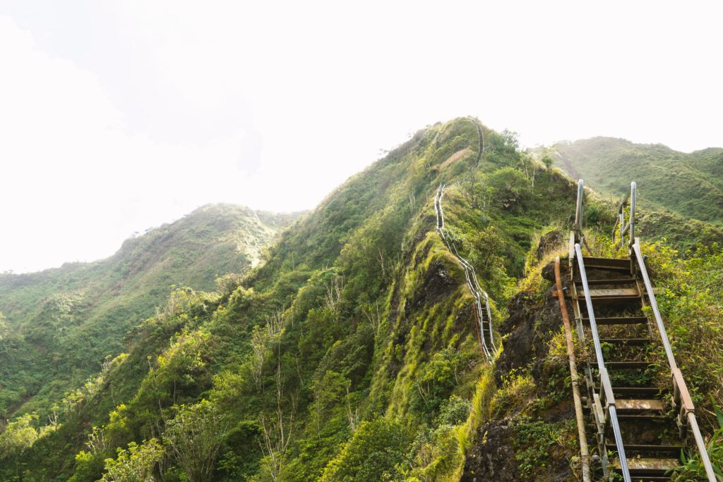 david-emrich-91kKEZ27yEo-unsplash-1024×684 a close up of a lush green hillside
