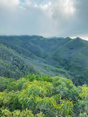 a large mountain in the background