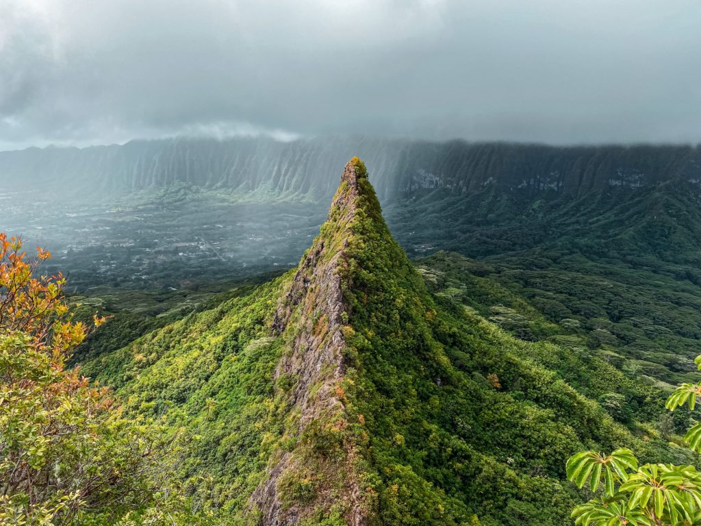 julian-armstrong-SGE5V7u77jc-unsplash-1024×768 a person standing on a lush green hillside