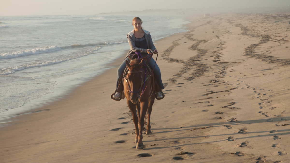 Horseback ridin a person riding a horse on a beach