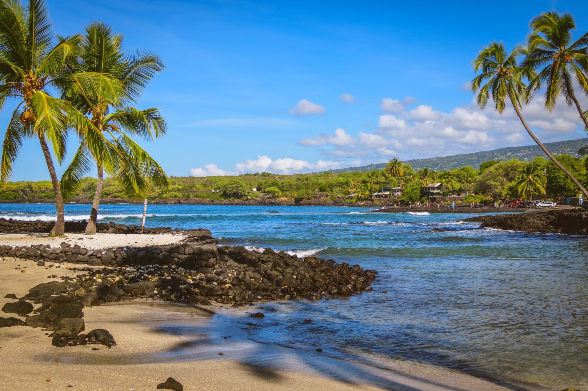 hari-nandakumar-VX88azaKEno-unsplash a group of palm trees on a beach near a body of water