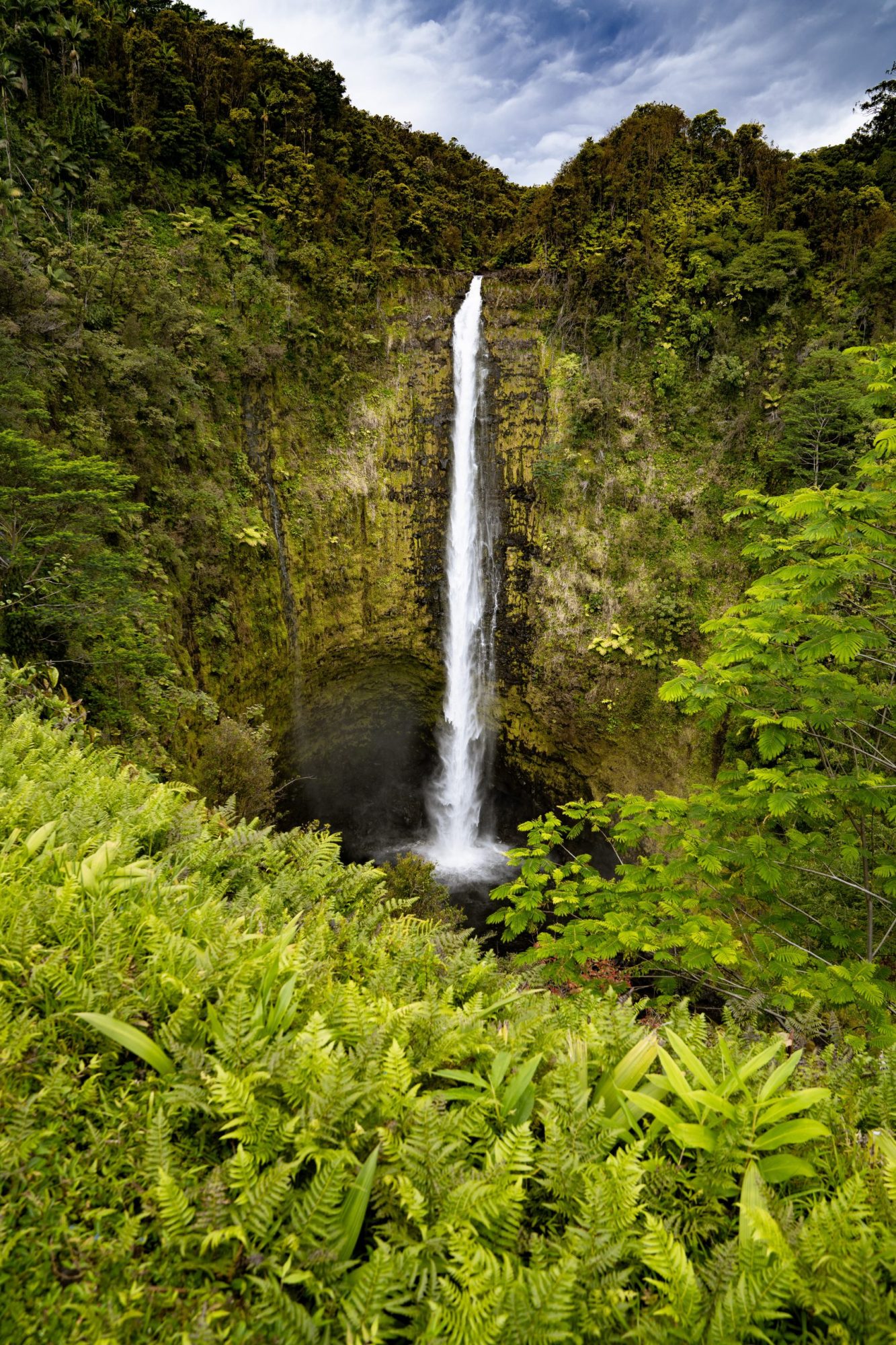 john-ko-4ZmKGQR1sTc-unsplash a large waterfall in a forest with Akaka Falls State Park in the background
