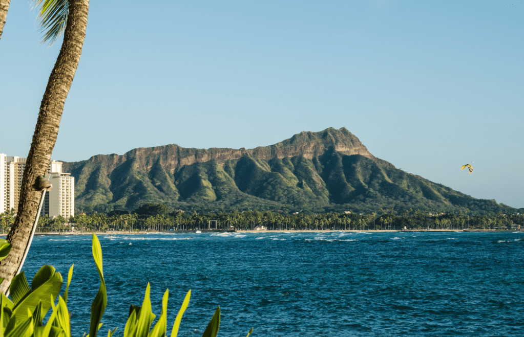 a group of palm trees next to a body of water with Diamond Head in the background