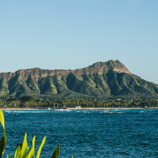 a group of palm trees next to a body of water with Diamond Head in the background