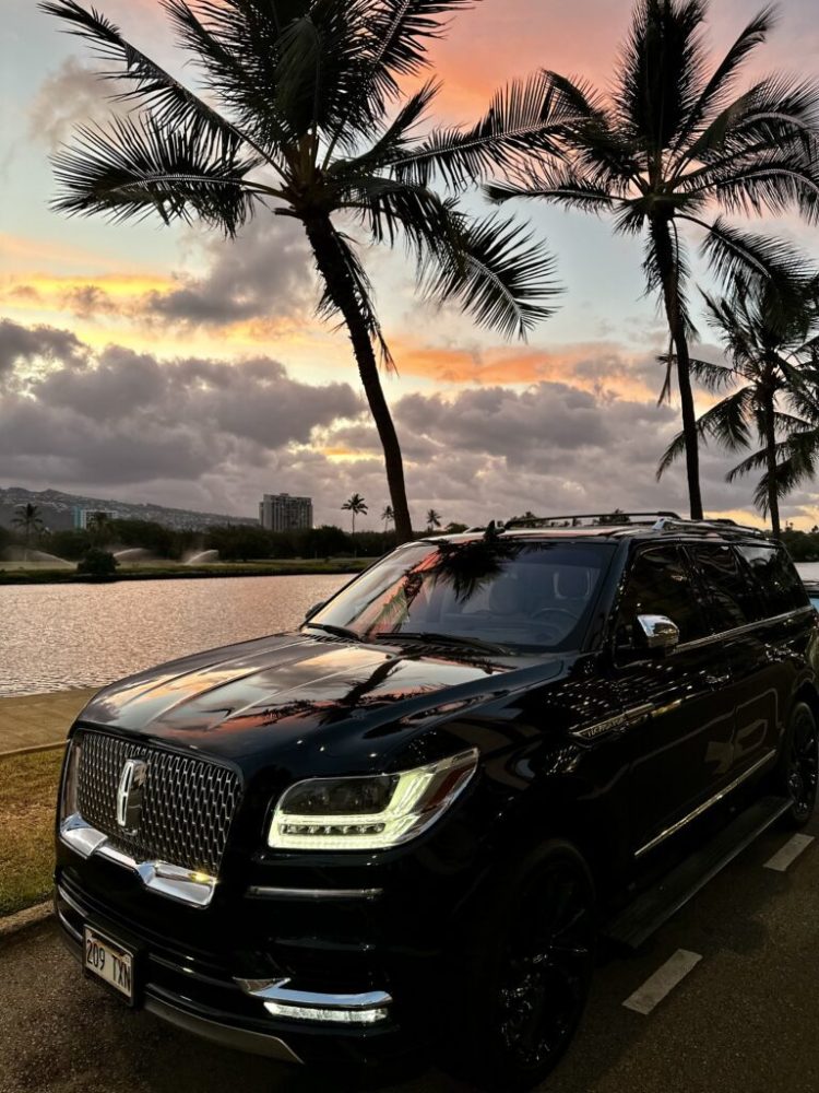 a car parked in front of a palm tree