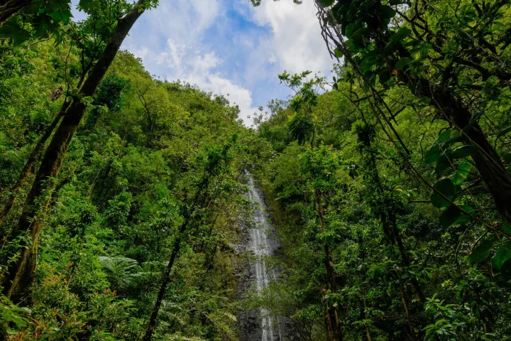 Waterfall cascading through lush green forest under a partly cloudy sky.