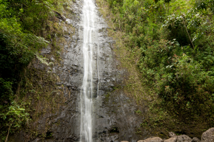 a waterfall surrounded by trees