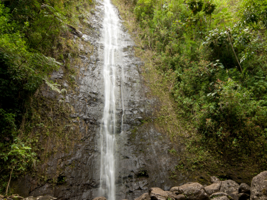 Diamond Head Crater & Hawaiian Waterfall Tour Image 1 a waterfall surrounded by trees