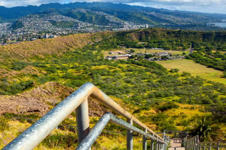 a close up of a hillside next to a fence