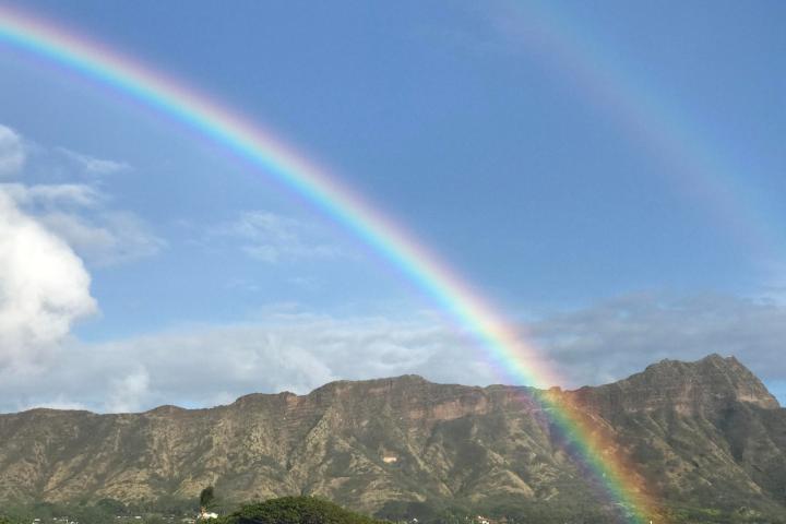 a rainbow in the background