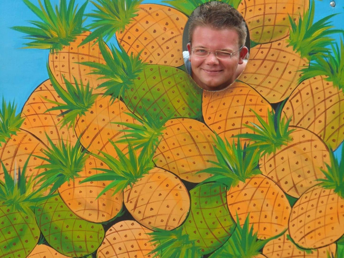 a boy sitting in a tree