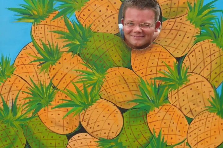 a boy sitting in a tree