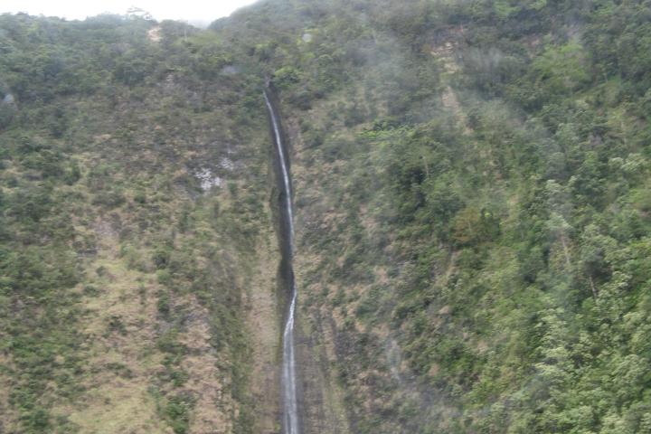 a tree with a mountain in the background
