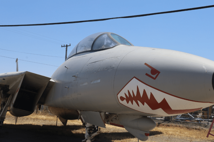 a plane sitting on top of a grass covered field