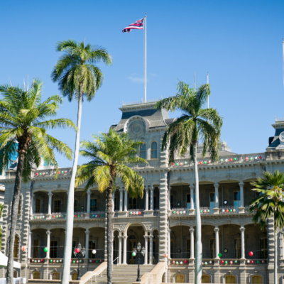 a group of palm trees on the side of Iolani Palace