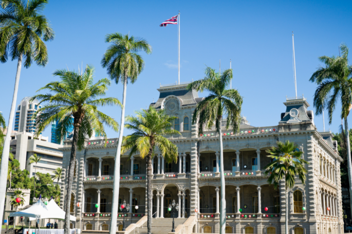 a group of palm trees on the side of Iolani Palace