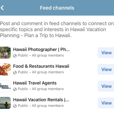 graphical user interface, text, application