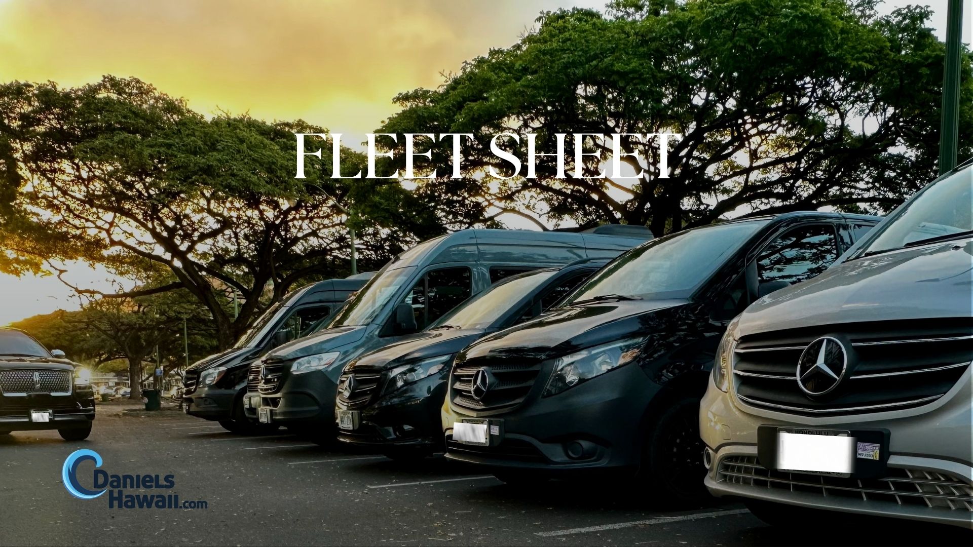 Daniels Hawaii Tour Vans parked in a parking lot