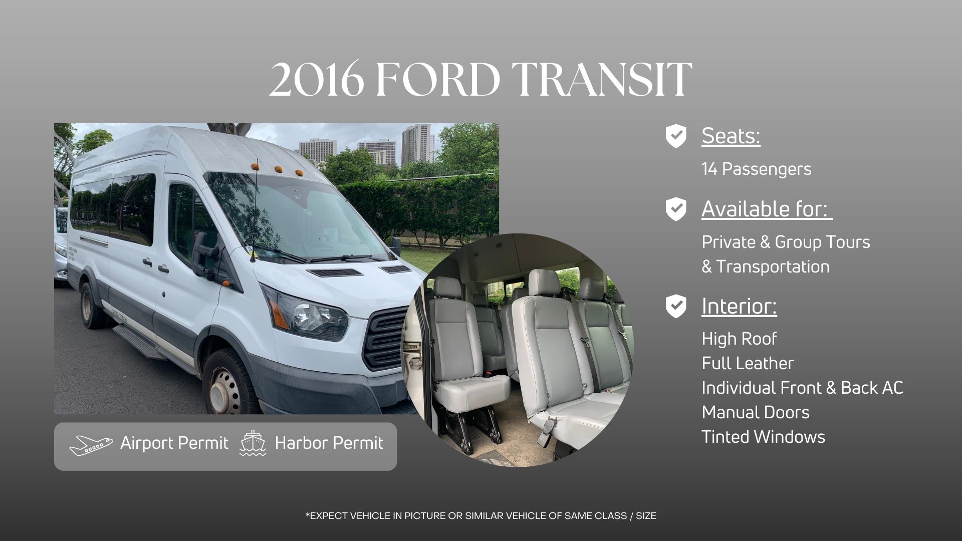 Ford Transit Small Group Tours Oahu Van