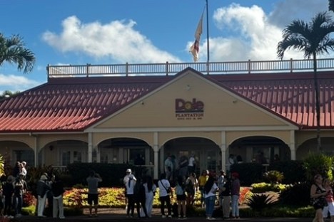 a group of people walking down a street