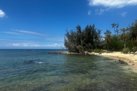a sandy beach next to a body of water
