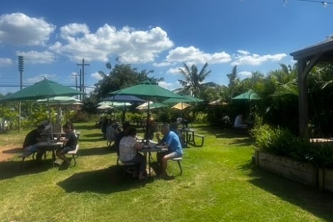 a person in a green yard