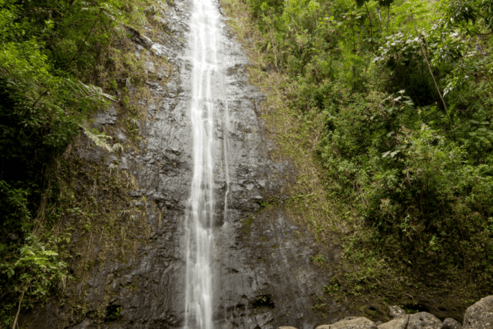 Tall waterfall cascading down a rocky cliff surrounded by lush greenery.